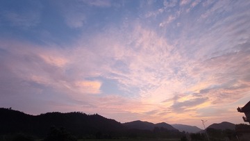 1000081631