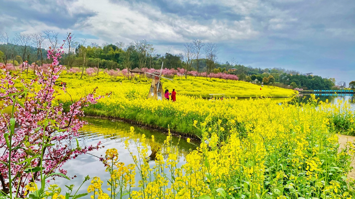 天坪山云林天乡景区美丽的桃花李花樱花绽放它们如画一般的美景