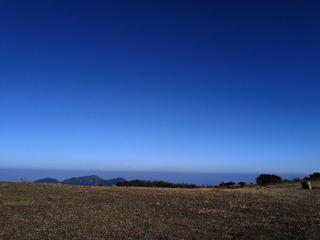 1000028086