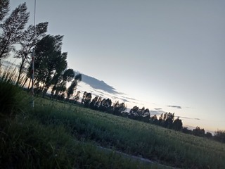 1000000082