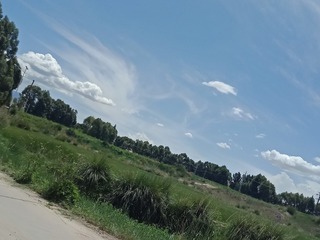 1000000077