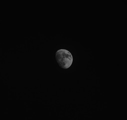 1000040629