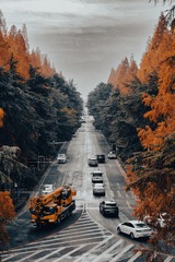 1000073368