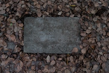 1000230683