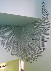 1000016024