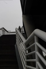 1000095588