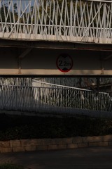 1000095606