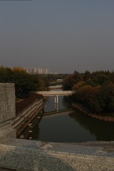 1000095515