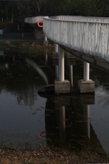 1000095645