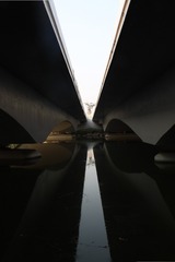 1000095617