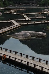 1000077835