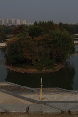 1000095651