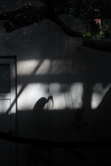 1000084831