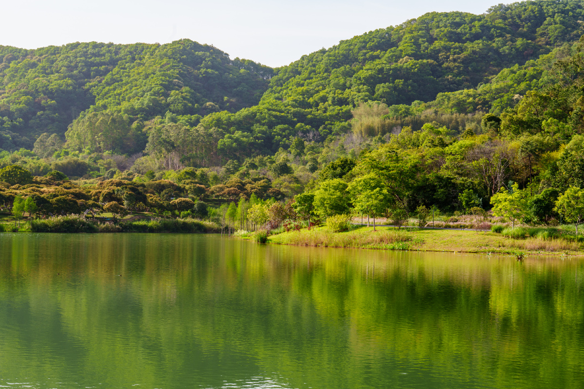 知识城·东湖——绿水青山就是金山银山 - 空海朗月