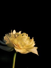 60EF7086-9D35-4F8F-A4DE-3B438A47B2D9/L0/001