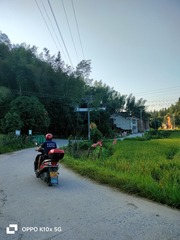 1000016452