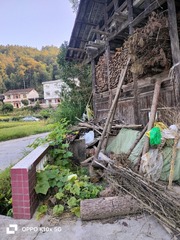 1000016423