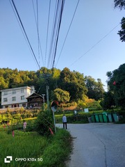 1000016499