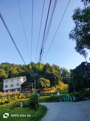 1000016503