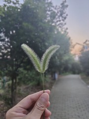 1000024564
