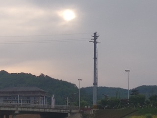 2931023