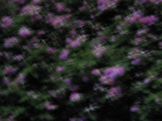 1000050595