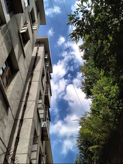 2012-07-13 10.14.47_副本.jpg