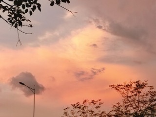 1000053056