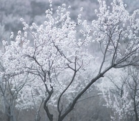 P3290289