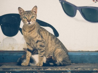 P4140128-1[1]