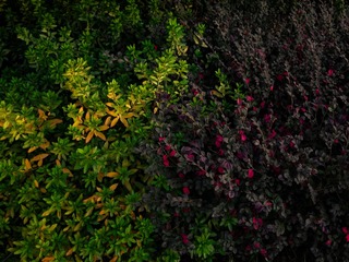 1000082843