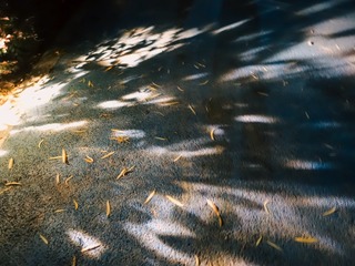 1000074676