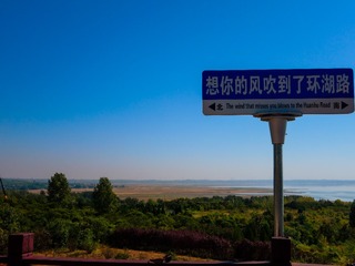 1000077164