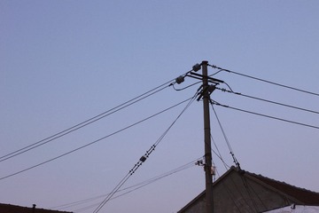 1000064380