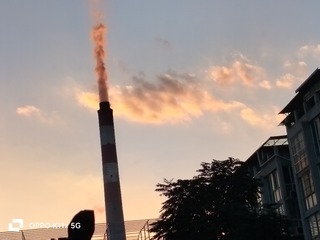1000002174