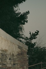 1000158892