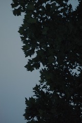 1000158891