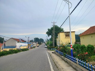 1000047236
