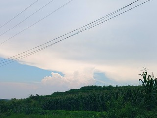 1000047230