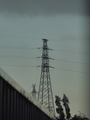 1000124071