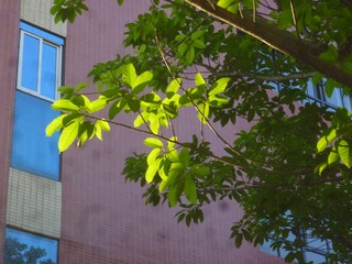 Image_1724308909486
