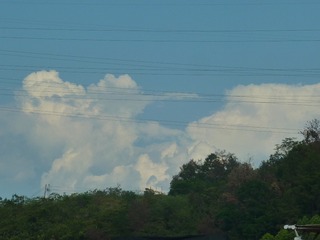 1000101683
