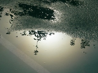 1000143152