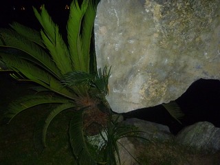 Image_1716637997511