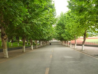 Image_1722313999486