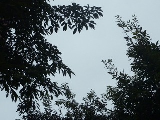 1000149057