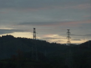 1000124132