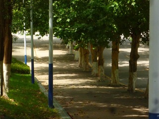 Image_1721801824796