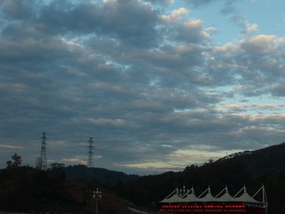 1000116335