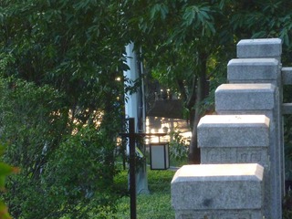1000119117